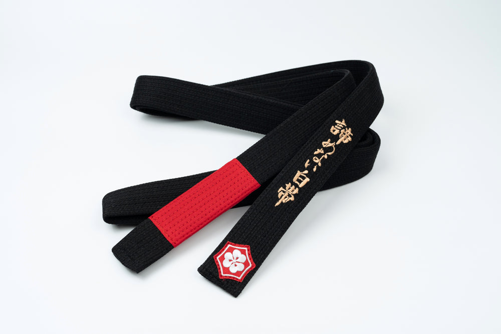 Professor stripes on a black belt with a red rank bar