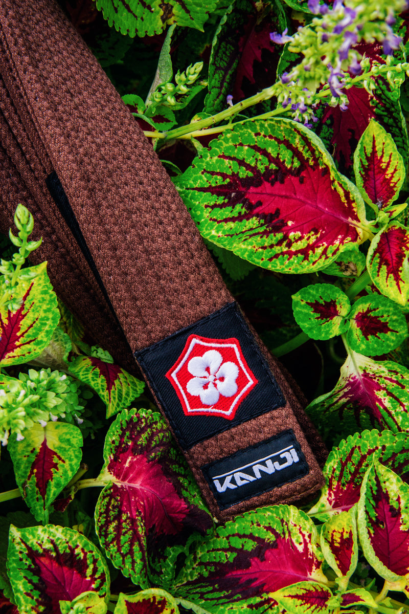 Brown KANJI KATANA BJJ belt among colorful foliage