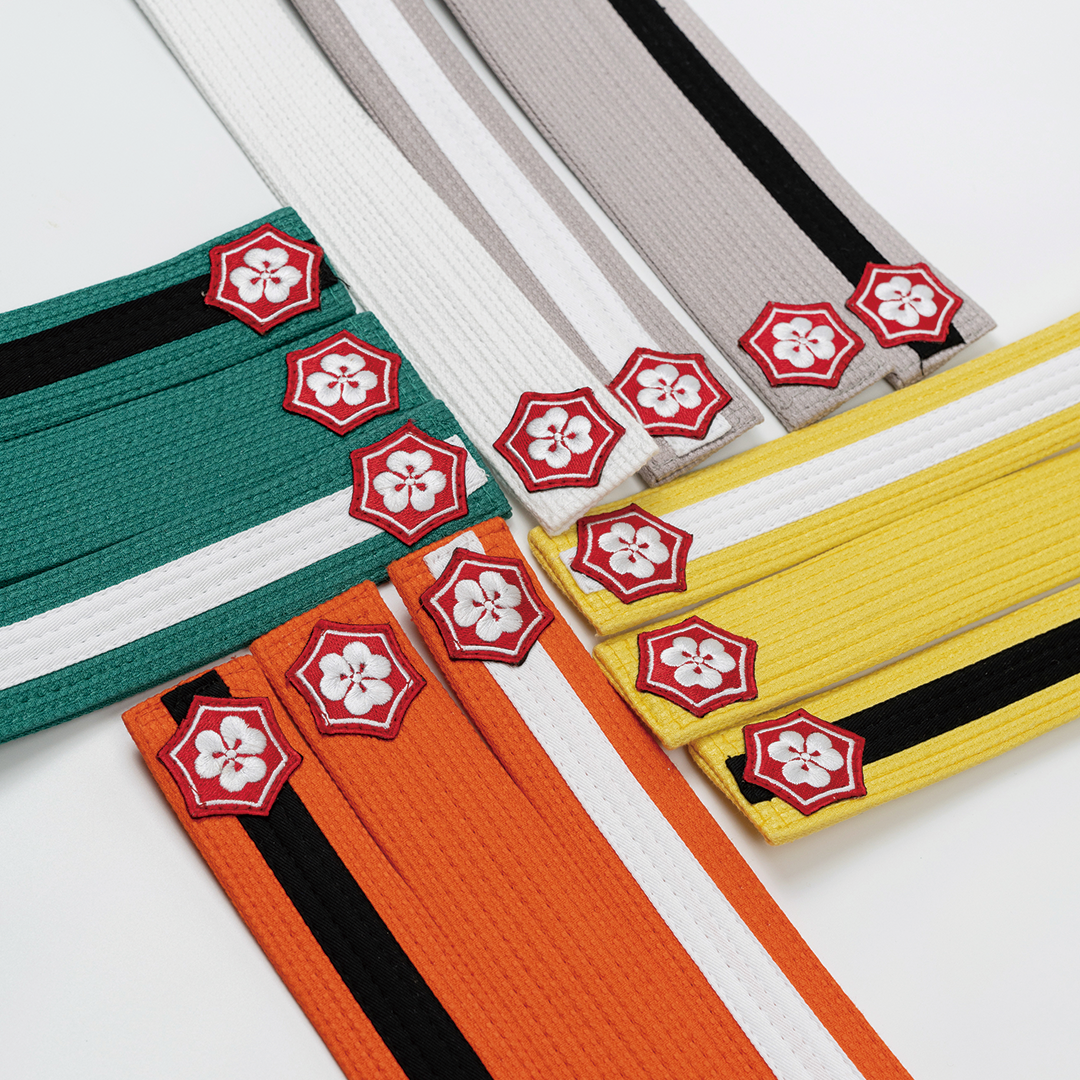 Close-up of KANJI TANTO youth BJJ belt ends in green, white, gray, yellow, and orange